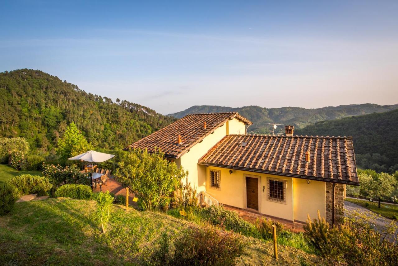 La Pianella Farmhouse ลุคคา ภายนอก รูปภาพ